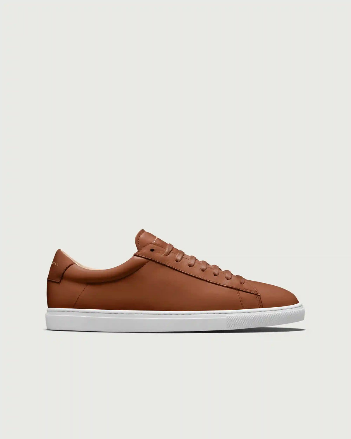 Low 1 | Lion (Orthopedic)