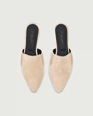 Dream Mule | Light